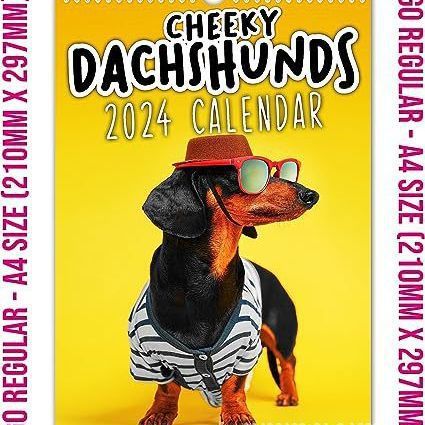 2024 Cheeky Sausage Dog Calendar Funny