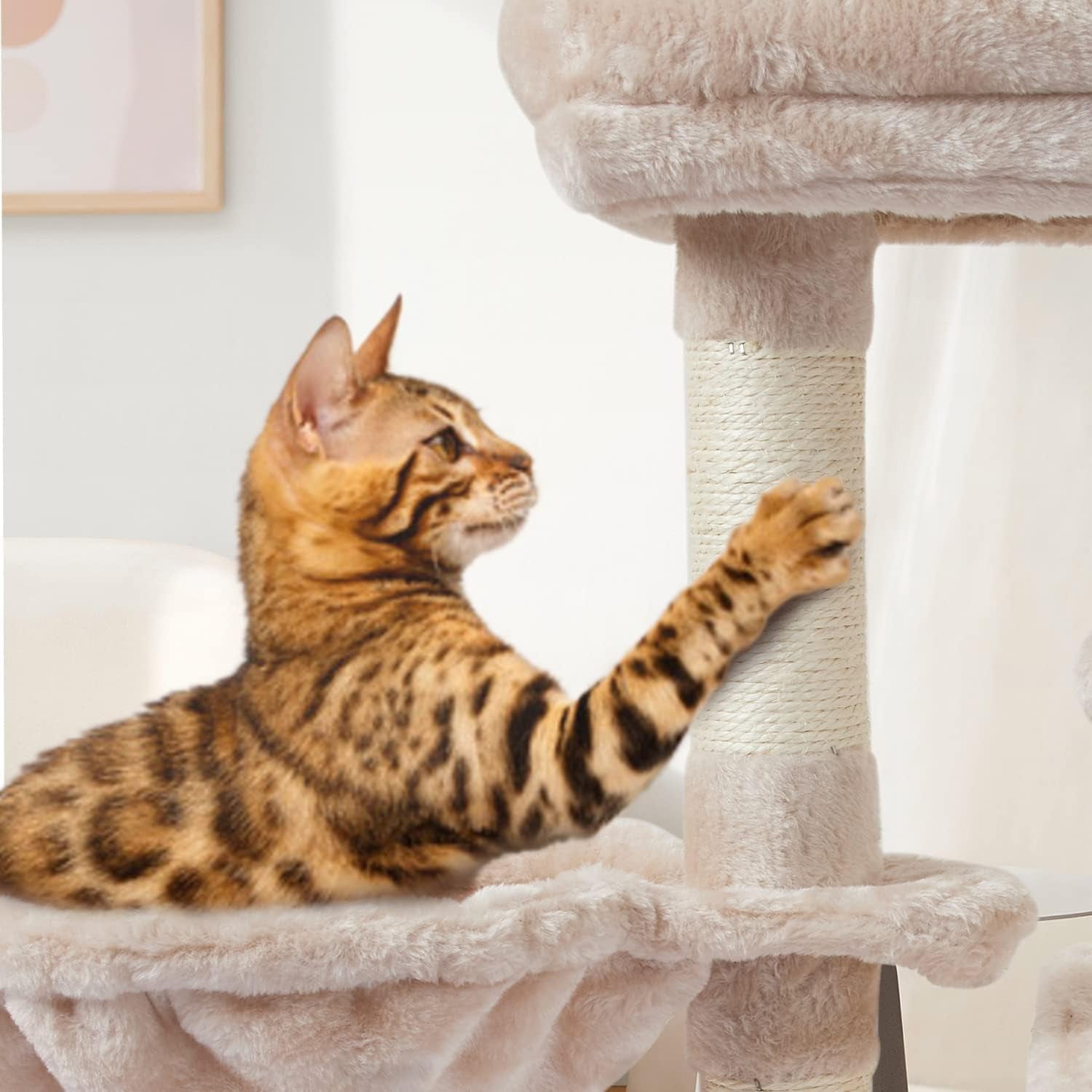 "Whisker Haven: the Ultimate Indoor Playground for Playful and Contented Cats!"